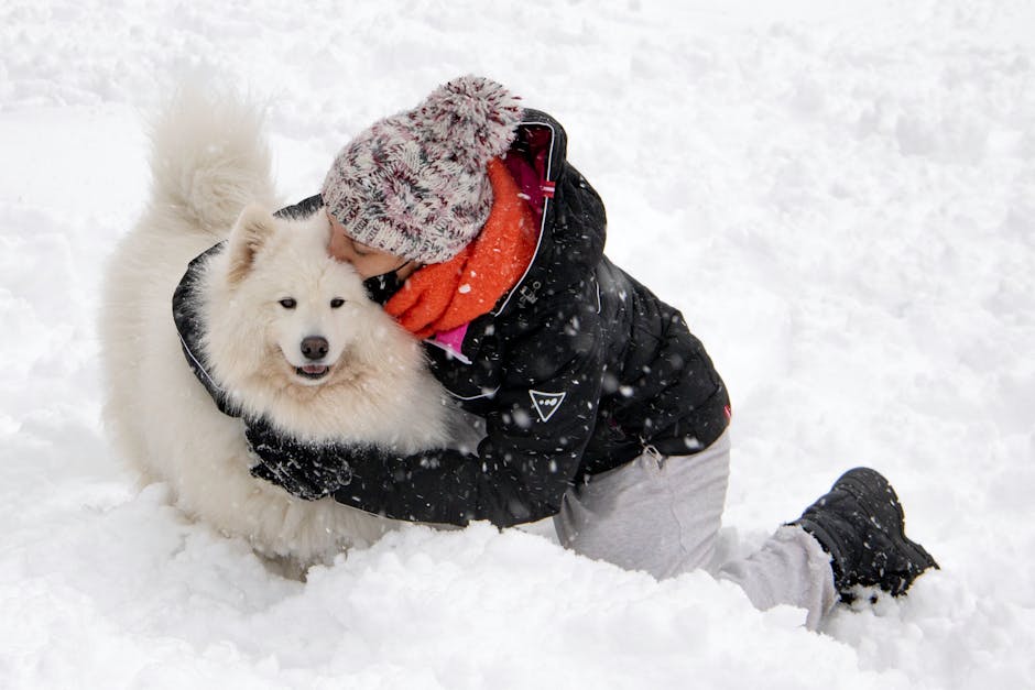 A person adopting a dog from the shelter